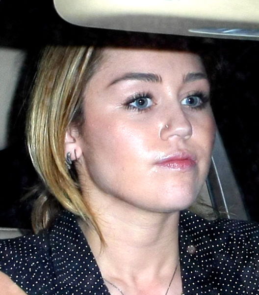 Miley Cyrus celebboardnet blogspot com 1